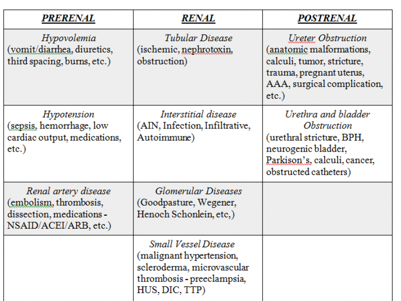 Back to Basics: Acute Renal Failure