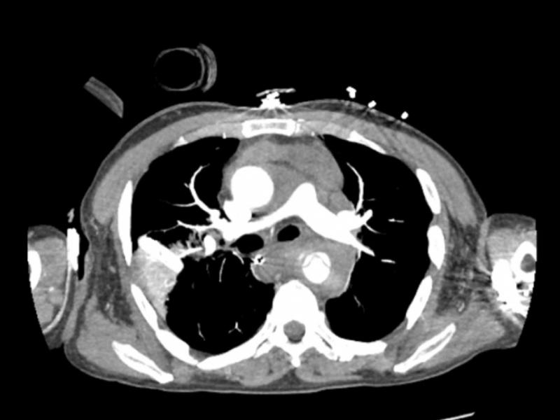 What's the Diagnosis?  By Dr. Danielle Kovalsky