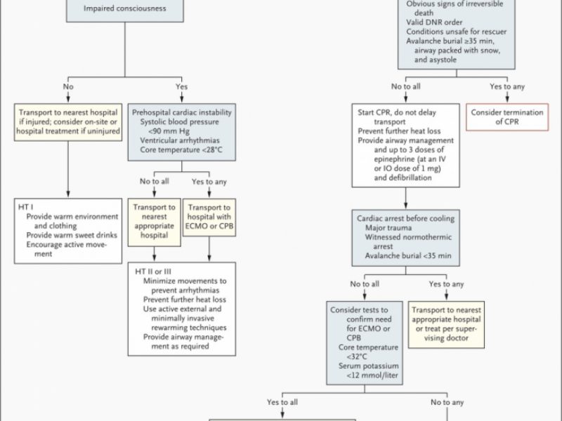 Board Review: Winter Emergencies 