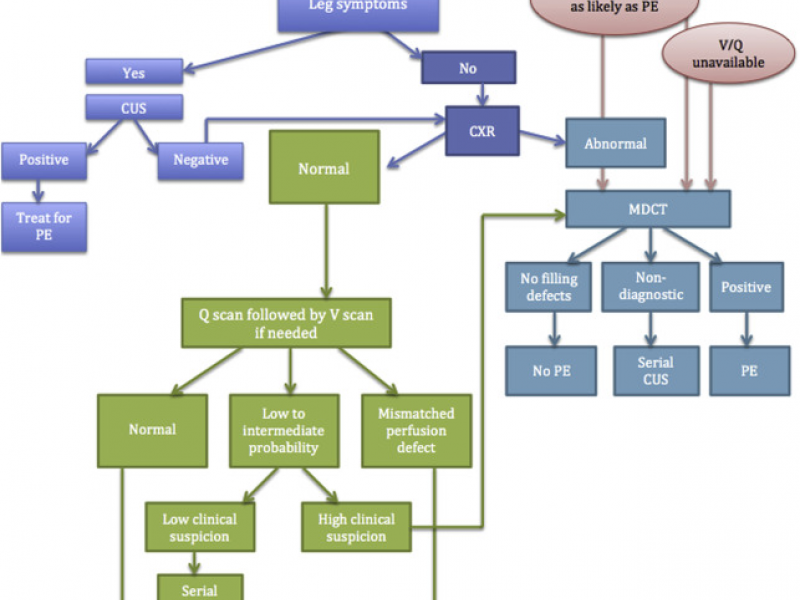 Board Review: OBGYN/SURGERY 