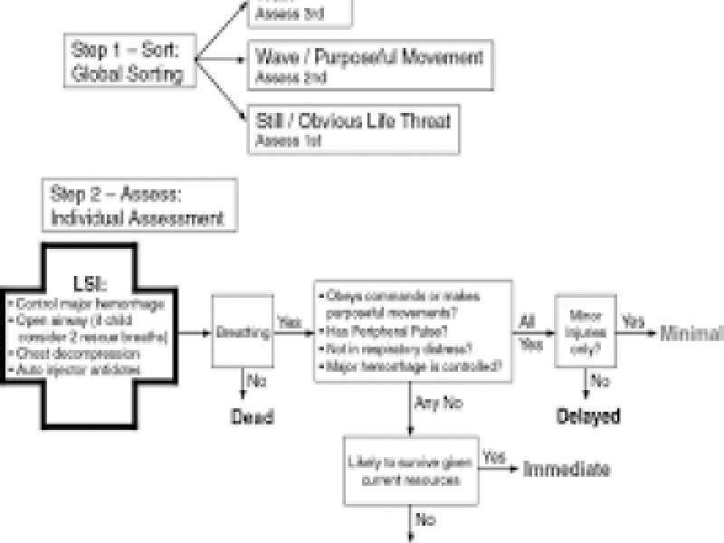 #EMConf: Disaster Medicine