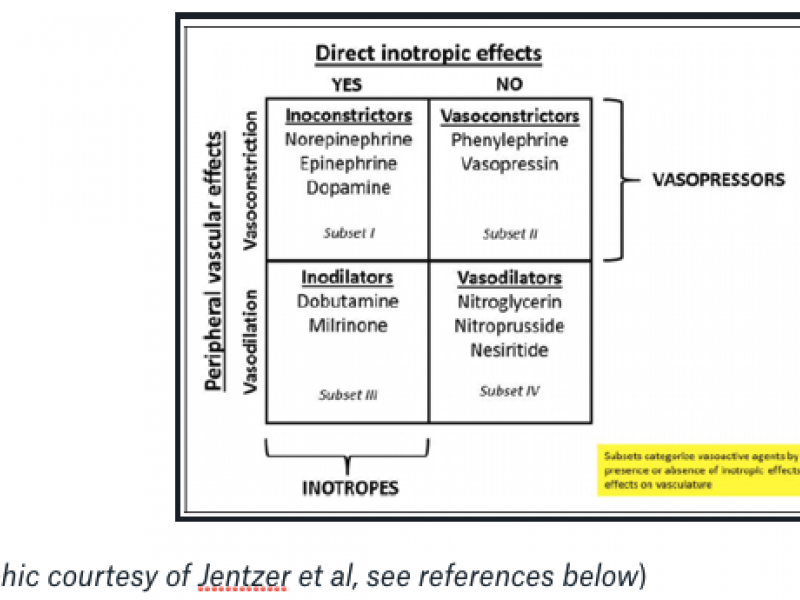 Vasopressors & Ionotrope Review