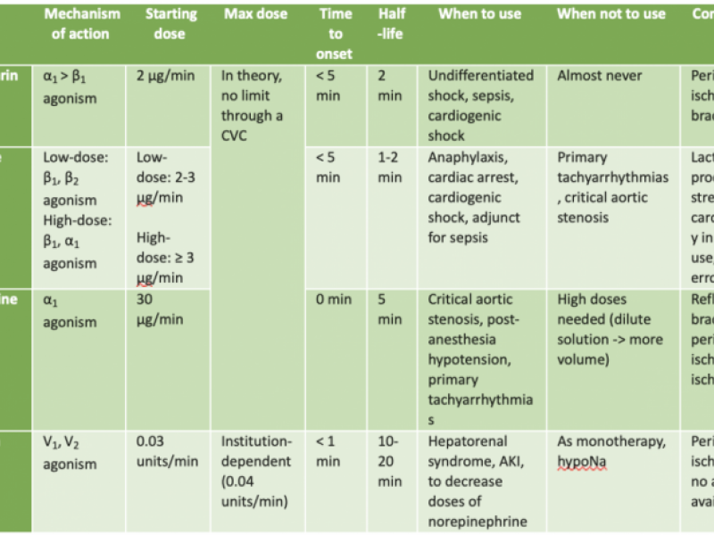 Basic of Vasopressors, Part 2: Epinephrine