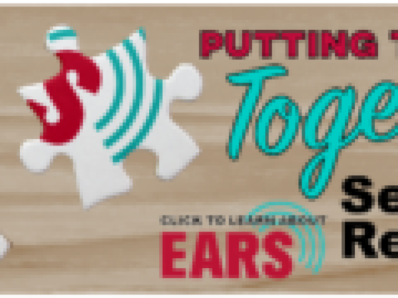 Designating Your Service Line in EARS Reporting