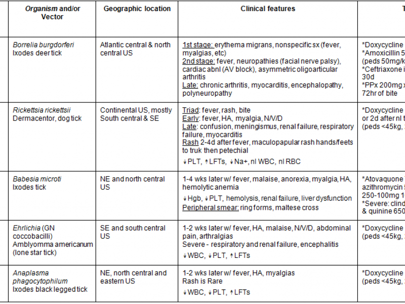 Back to Basics: Tickborne Illnesses
