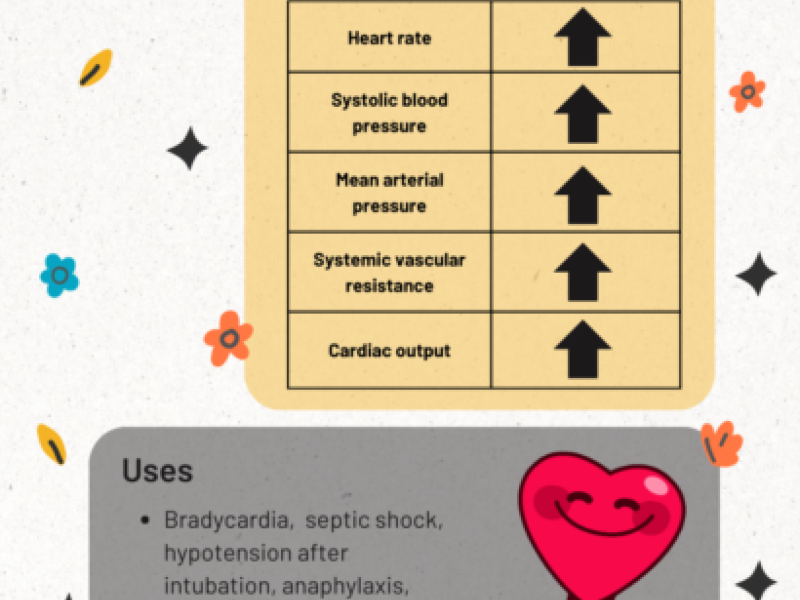 Vasopressors Part II: Epinephrine