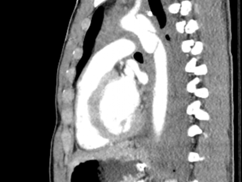 What's the Diagnosis? By Dr. Erica Schramm