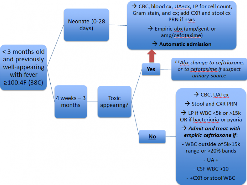 Back to Basics: Febrile Infant