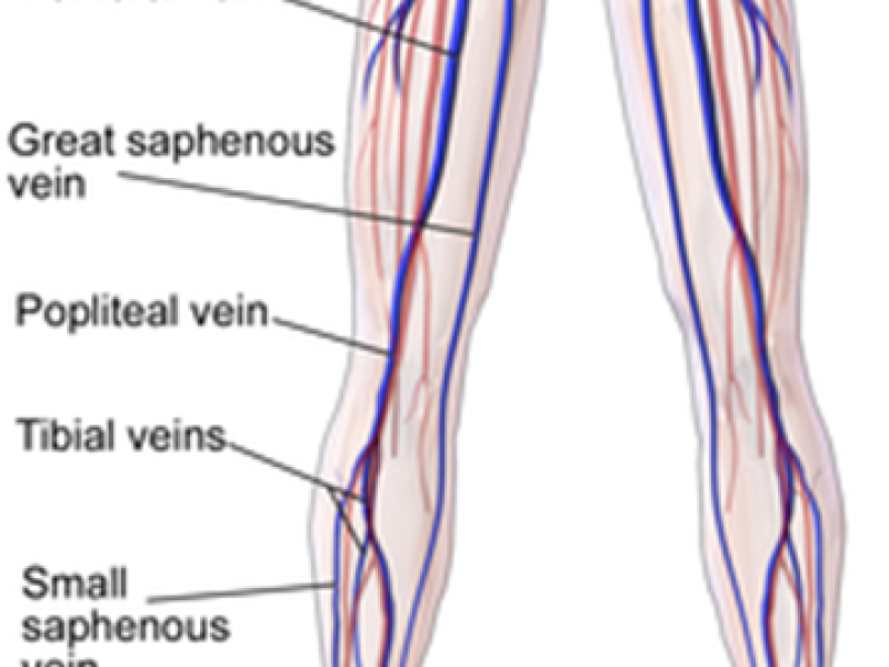 What's the Diagnosis? By Dr. Ethan Anderson