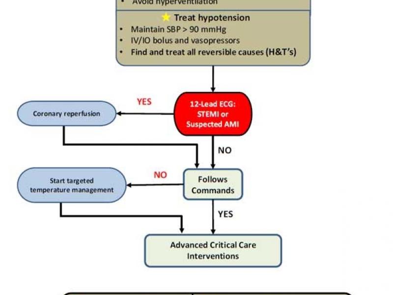 Board Review by Dr. Christine Collins