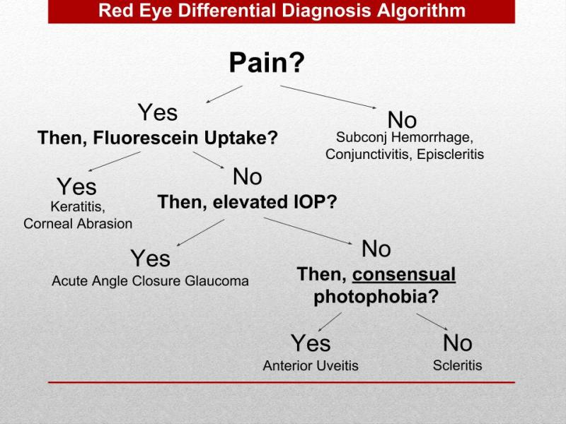 Back to Basics: Red Eye Algorithm